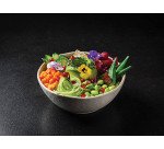 poke bol Gaïa ø 18 cm