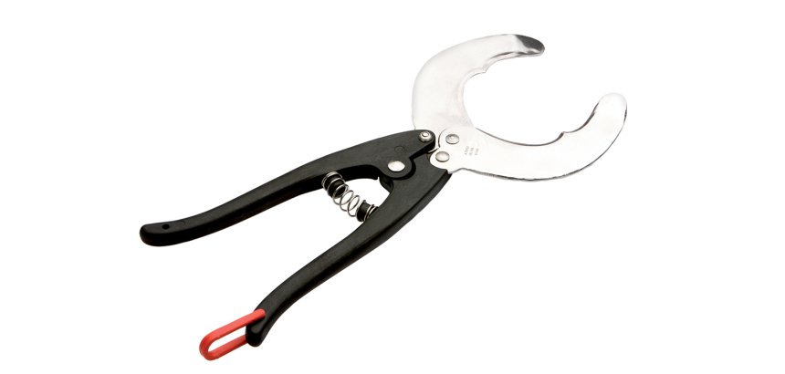 cisaille coupe-oursin inox 25 cm