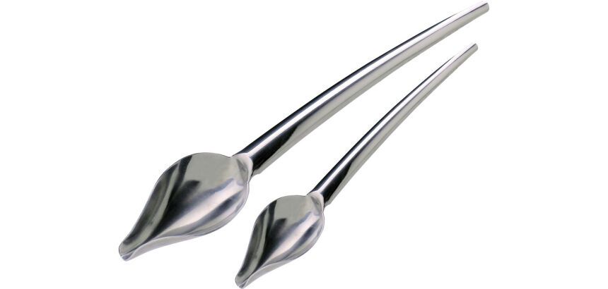 Decospoon lot de 2 cuillères plume inox 19 et 23 cm