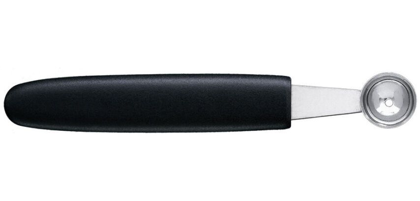 moule à pommes rond inox diamètre 22 mm