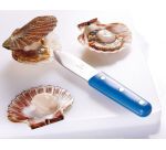 couteau à coquille Saint Jacques bleu
