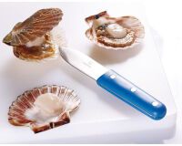 couteau à coquille Saint Jacques bleu