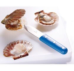 couteau à coquille Saint Jacques bleu