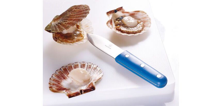 couteau à coquille Saint Jacques bleu