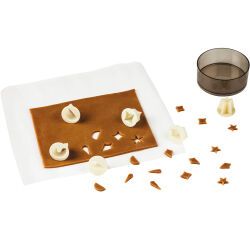 Exoglass boîte de 12 découpoirs décors petits modèles
