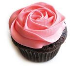 lot de 2 douilles copolyester rose droite n°6 0.5 mm