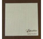 plaque silicone souple paraflexx pour déshydrateur 35.5 x 35.5 cm