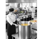 Robot-coupe mixeur plongeant MP 450VV tube 45 cm