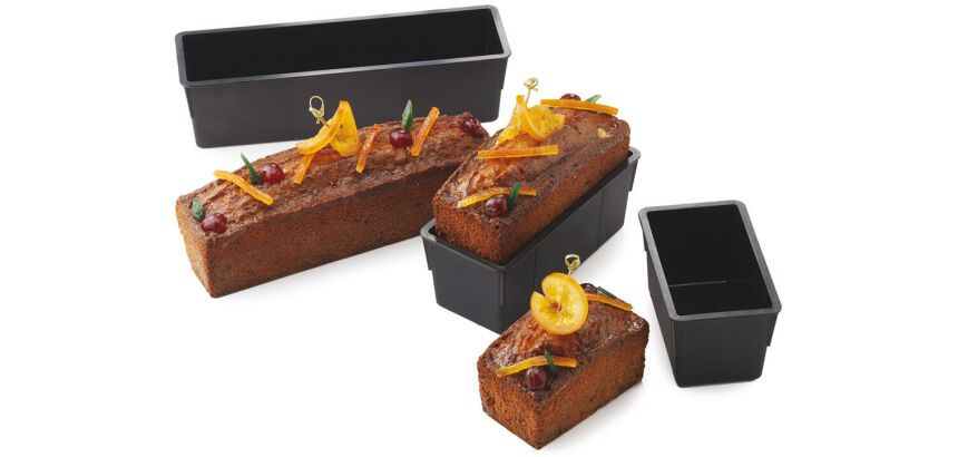 Exoglass cake rectangulaire 25x8x8 cm