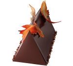 gouttière à bûche inox triangulaire 50x9x7.5 cm