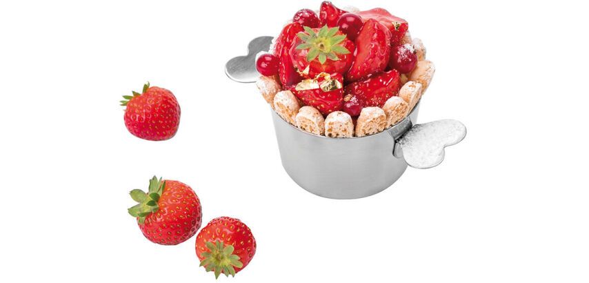 charlotte inox avec oreilles sans couvercle 10 cm