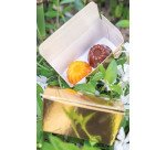 plaque 275x175 pour 24 mini-pudding 18 mm