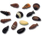 plaque 275x135 pour friture de 20 fruits de mer