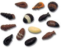 plaque 275x135 pour friture de 20 fruits de mer