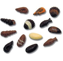 plaque 275x135 pour friture de 20 fruits de mer