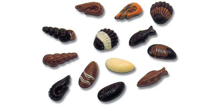 plaque 275x135 pour friture de 20 fruits de mer