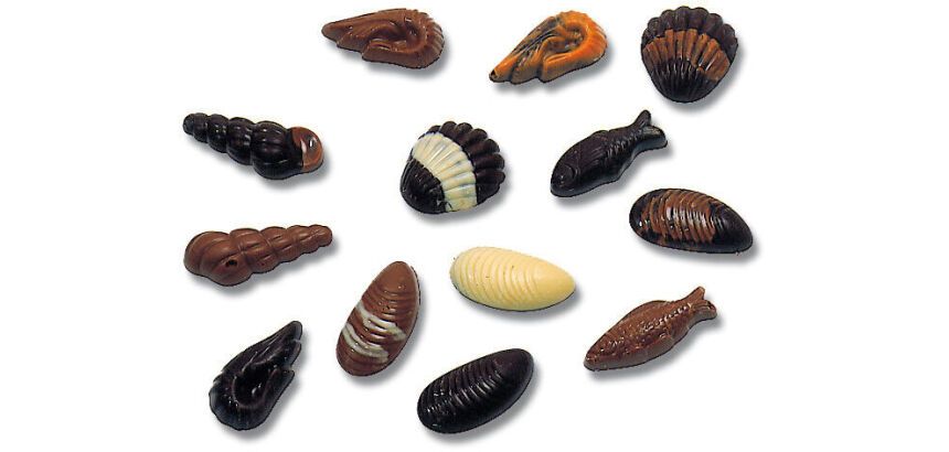 plaque 275x135 pour friture de 20 fruits de mer