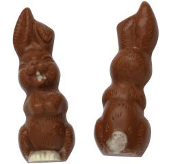 plaque 275x175 de 2 empreintes pour 1 lapin rieur 120x43 mm