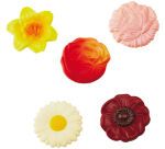 plaque 275x135 pour 10 fleurs assorties  4.5 cm