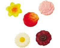 plaque 275x135 pour 10 fleurs assorties  4.5 cm