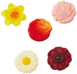 plaque 275x135 pour 10 fleurs assorties  4.5 cm