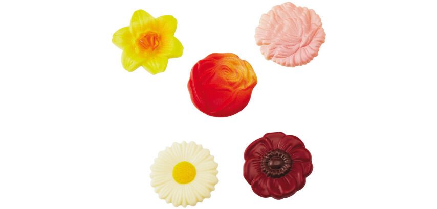 plaque 275x135 pour 10 fleurs assorties  4.5 cm