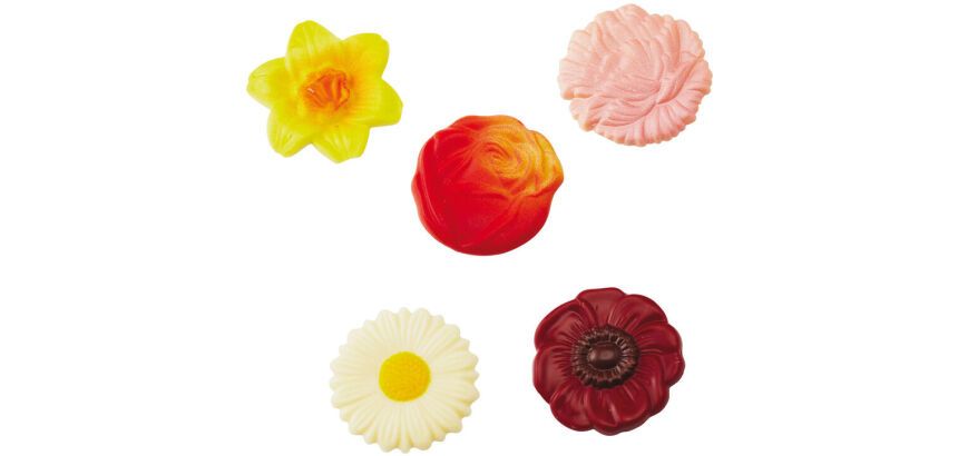 plaque 275x135 pour 10 fleurs assorties  4.5 cm