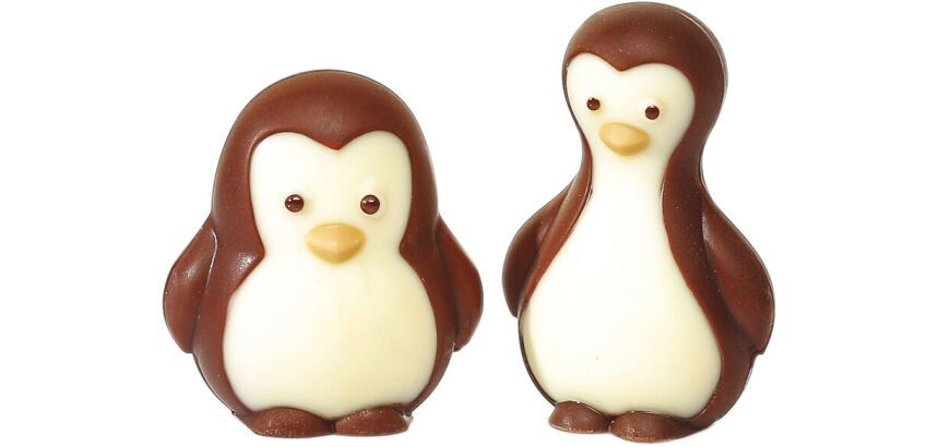 plaque 275x135 de 8 empreintes pour 4 pingouins