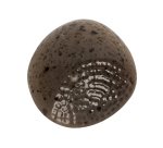 plaque 275x135 pour 15 galets