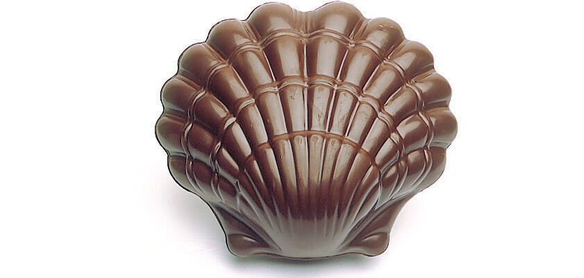 plaque 275x175 de 2 empreinte pour 1 coquille saint jacques