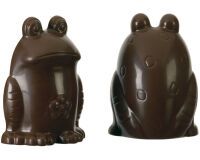 plaque 275x175 de 2 empreintes pour 1 grenouille