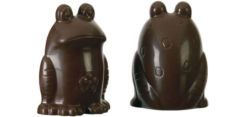 plaque 275x175 de 2 empreintes pour 1 grenouille