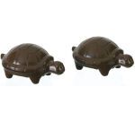 plaque 275x175 de 4 empreintes pour 2 tortues