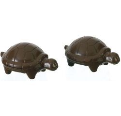 plaque 275x175 de 4 empreintes pour 2 tortues