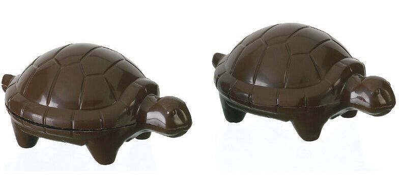 plaque 275x175 de 4 empreintes pour 2 tortues