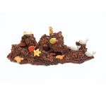 plaque 275x135 moule chocolat friture marine 18 empreintes
