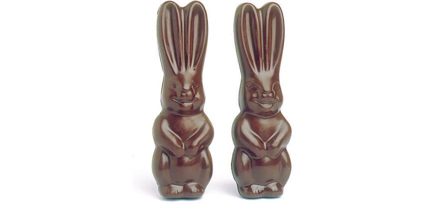 plaque 275x175 double pour 6 lapins grandes oreilles 131mm