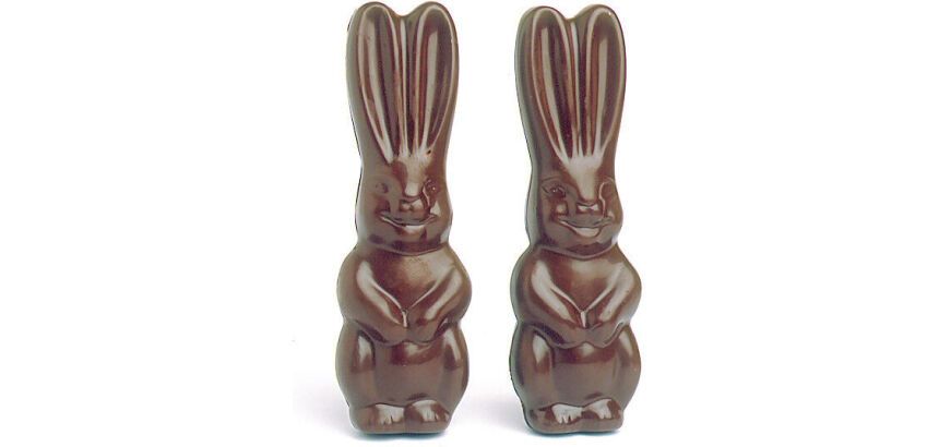 plaque 275x175 double pour 6 lapins grandes oreilles 131mm