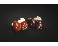 plaque 275x135 de 2 empreintes pour 1 petit lapin 100x75 mm
