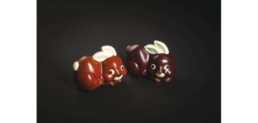 plaque 275x135 de 2 empreintes pour 1 petit lapin 100x75 mm