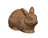 plaque 275x175 de 2 empreintes pour 1 lapin  134x67 mm