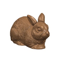 plaque 275x175 de 2 empreintes pour 1 lapin  134x67 mm