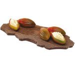 plaque 275x205 pour 24 cabosses cacao