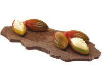 plaque 275x205 pour 24 cabosses cacao