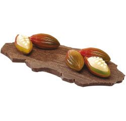plaque 275x205 pour 24 cabosses cacao
