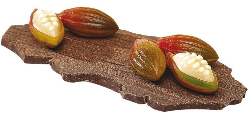 plaque 275x205 pour 24 cabosses cacao