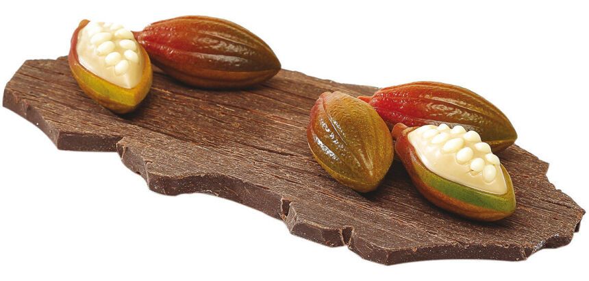 plaque 275x205 pour 24 cabosses cacao