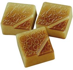 plaque 275x135 pour 24 pralines carrées cacao