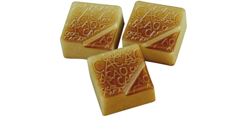 plaque 275x135 pour 24 pralines carrées cacao