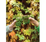 Picardie gobelet trempé vert 25 cl